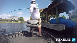 19K views · 244 reactions | "Fishbrain is the best fishing app in the world. Period. It helps me catch more fish, connect with other anglers and stay on top of what's going on in the waters near me and around the world!" - Patrick Gonzalez | Fishbrain | Facebook