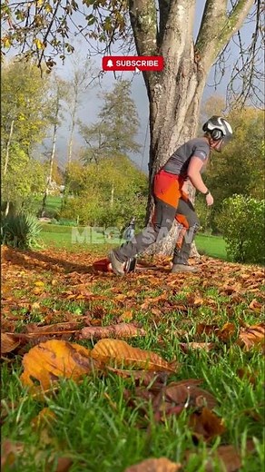 Perfect Cut & Wedge Technique 🪓🌲