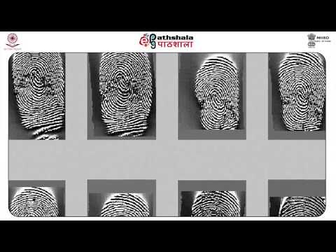 Automated Fingerprint Identification System (FSC)