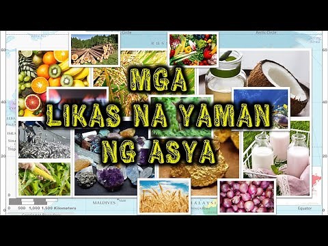 Mga Likas na Yaman ng Asya