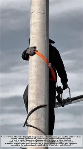 Skilled Utility Worker Climbs Power Pole Safely and Efficiently! #shorts
