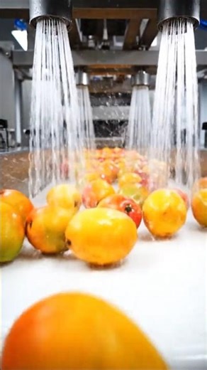 Inside a Mango Jam Factory Premium Jam Manufacturing Process#factoryprocess #viralshort #machine