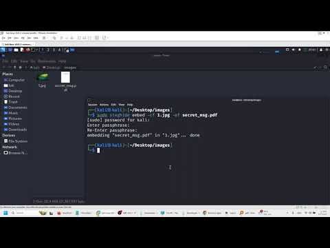 اخفاء معلومات سرية بداخل صورة باستخدام اداة steghide
