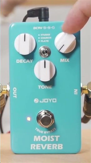 𝙅𝙤𝙮𝙤 𝙈𝙤𝙞𝙨𝙩 𝙍𝙚𝙫𝙚𝙧𝙗 𝘿𝙚𝙢𝙤