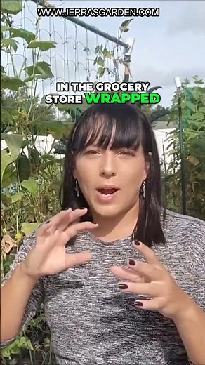 Best Cucumber Varieties for Fresh Eating: How to Choose the Perfect One for Your Salad or Sauce