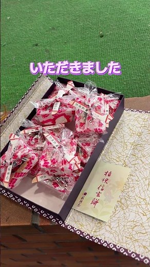 信玄餅をいただきました。正しい食べ方講座【カンザキ/エバチャンネル】