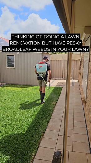 1.1K views | Bow & Arrow is a great solutions to knock out Broadleaf...