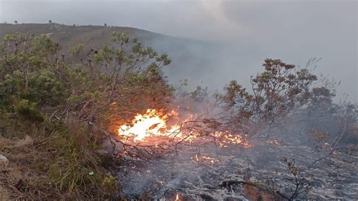 Over R6m in damages as Overstrand battles multiple active fires - SABC News - Breaking news, special reports, world, business, sport coverage of all South African current events. Africa's news leader.