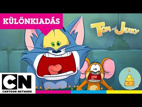 Egy titokzatos sellő megmenti Tomot és Jerryt | Tom és Jerry: 1 órás különkiadás | Cartoon Network