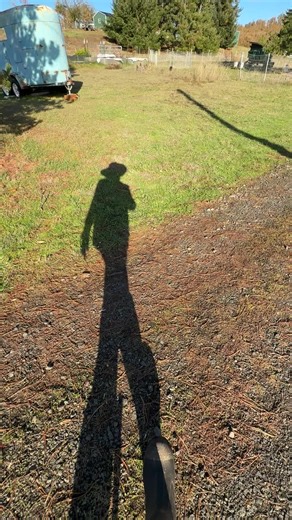 Yes, I dance while doing farm chores #fyp #farmlife #dancingonmyown