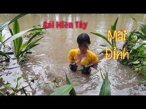 Tuyệt Vời - Gái Miền Tây Lặn Sông Mò Cá Quá Đỉnh! Beautiful Girl Catches Fish in The River