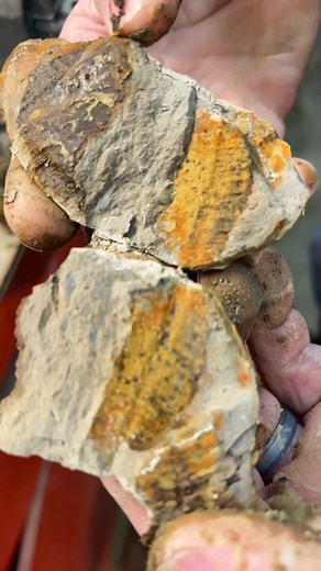 Exploring Mazon Creek Fossil Hunting Techniques