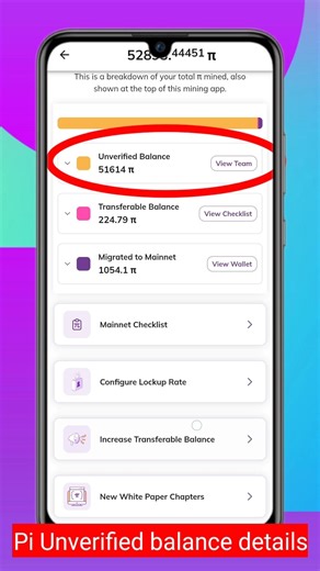 pi network unverified balance details #pinetwork #pi #techzkk