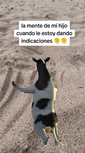 La mente de mi hijo al recibir indicaciones