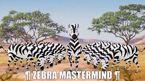 ¶ Zebra Mastermind ¶