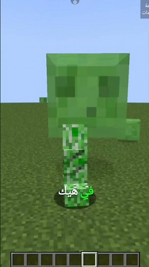 مود التحول تحول لأي مخلوق في ماين كرافت!! | مود Remorphed الخرافي