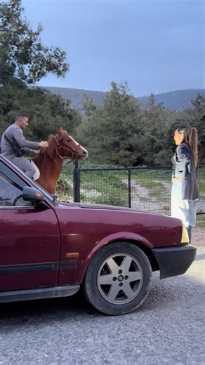 Siz olsanız ne yapardınız?🇹🇷#keşfetteyiz #atlar #turkey