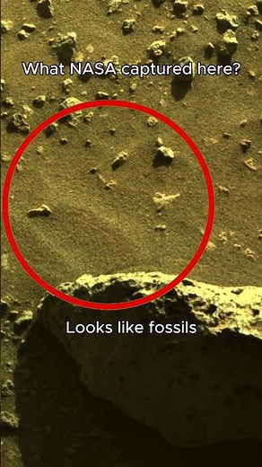 Perseverance Just Filmed This on Sol 198