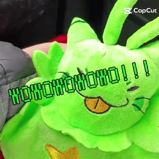 going back home) :/ leaving Florida gnarpy video!