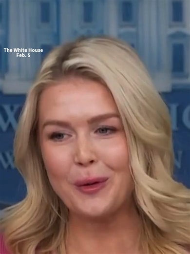 When asked which Super Bowl halftime show performance President Trump would prefer to watch, press secretary Karoline Leavitt said he’d pick Kid Rock over Bad Bunny.