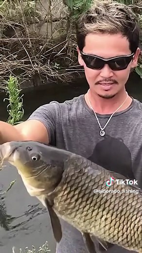 ナマズ釣りでの驚きの出来事