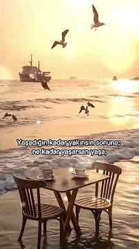 Her Şey Sende Gizli | Can Yücel | Ay Işığı Şiirleri