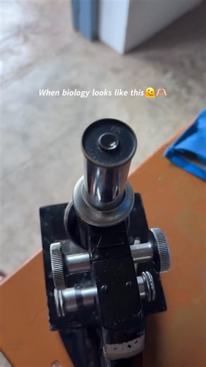 𝗔𝗹𝘃𝘆 on Instagram: "When biology looks like this 🫀🫶🏻 . . . . . . . . . . . #MicroscopeMagic #MicroWorld #ScienceReel #LabVibes #MicroscopyLovers #HiddenWorlds #STEMLife #ScienceIsCool #BioVibes #CellularBeauty #MicroscopicView #LifeUnderLens #DiscoverTheUnseen #MicrobiologyMagic #BiotechReel #SmartphoneMicroscope #ResearchReel #ScienceAesthetic #KeralaScience #LabDiaries #lablife #labvlog #fypシ❤️💞❤️ #fypシ #reels #aesthetic"