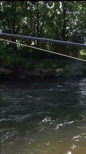 Euro nymphing with a 5 weight fly rod