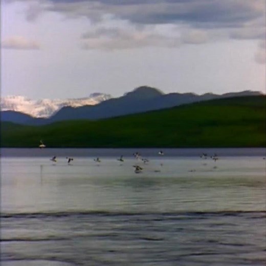 Windows Vista Video Sample #3