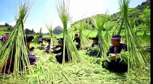 443K views · 10K reactions | Peb hmoob kev ua maj ua ntaus zoo saib heev  | Hmong Tour | Facebook