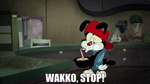 DOT: Wakko, stop!