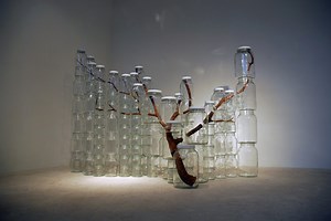 Found Object Terrariums Capture Nature in Jars