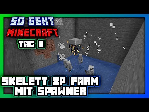 WIE baut man die BESTE SKELETT XP FARM in Minecraft 1.21 | So geht Minecraft - Tag 9