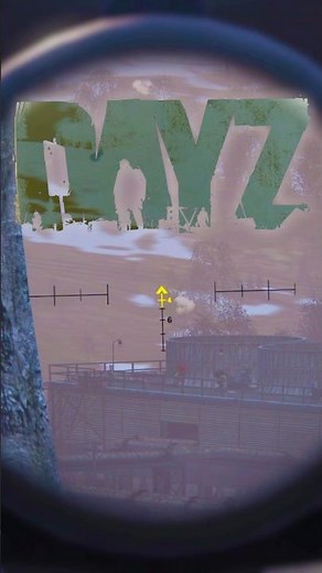 I Nailed an INSANE Long Distance Shot in DAYZ using my LAR!