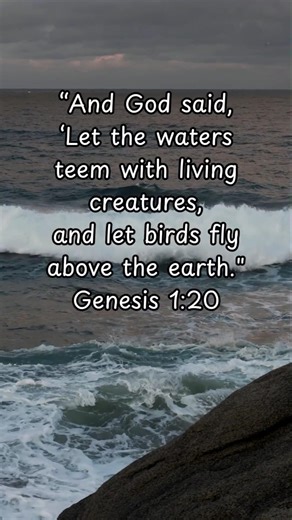 Day 20 | Genesis 1:20. God Brings Life Where It Looks Empty #jesus #hope #inspiration