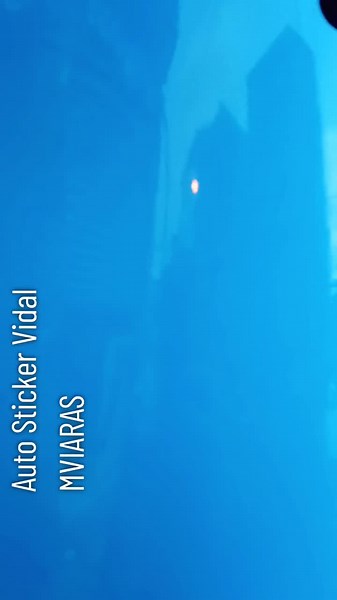 auto sticker vidal on TikTok