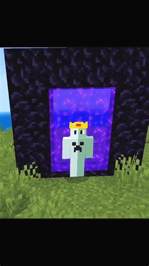 this minecraft item should be illegal 😳