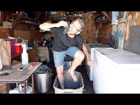 Beginner's Guide to Making Wine (from a beginner)