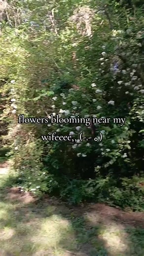 Pretty Girl Blooming Near My Wife