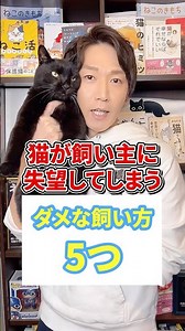 猫が飼い主に失望してしまうダメな飼い方５選 #猫 #猫のいる生活 #ねこ