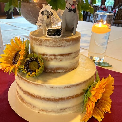 Custom Pet Cake Toppers, Handmade Polymer Clay Figurines, Wedding Anniversary Gifts - Etsy