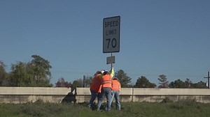 Drivers react to TxDOT lowering speed limits on some Southeast Texas highways, roads
