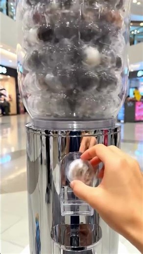 Spinning the wheel of fate… and picking totally random cats. 🐱🎲✨