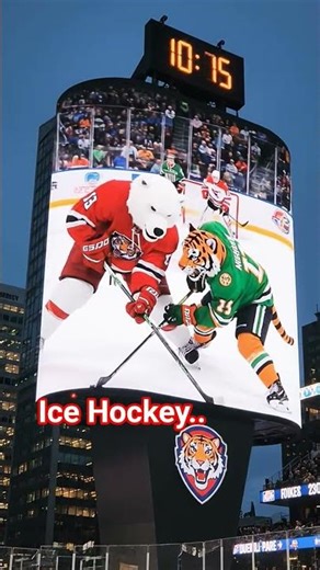#ice #hockey #bear #tiger