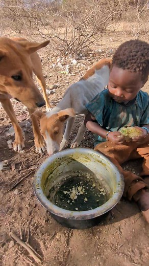 47K views · 385 reactions | Dogs are under control with Panda | African Culture | Facebook