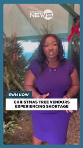A shortage has impacted the availability of Christmas trees this season, according to the owner of Prince Albury's Christmas Tree Farm. Albury told Eyewitness News that due to this shortage, he could not bring in sufficient supply to stock both of his Christmas tree farm locations. At his Perpall Tract location, he brought in 500 trees. Albury remains optimistic that he will sell his remaining stock. | Eyewitness News Bahamas