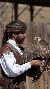 Falconry History and Cultural Impact #Falconry #History #CulturalHeritage #BirdsOfPrey #facts