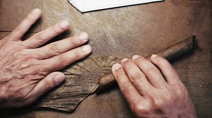 【Bliss Cigar】第一视角卷雪茄 ASMR 【无人声】【极少底噪】