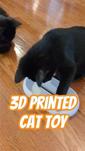 I 3D Printed a Cat Toy for my New Kitties! #3dprinting