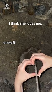 907K views · 6.6K reactions | 藍藍藍 | Daily Currents | Facebook